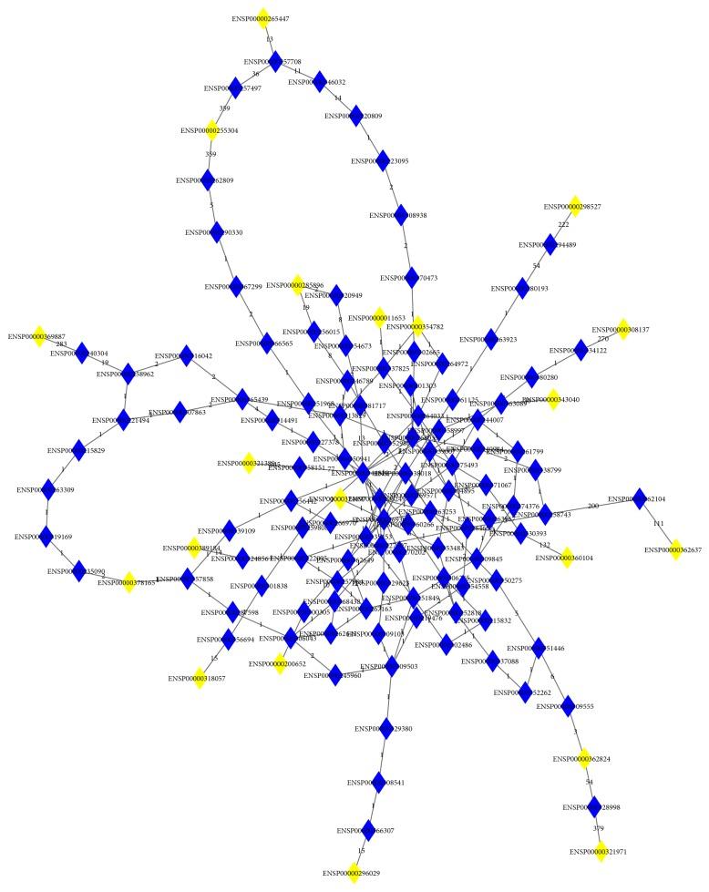 https://cdn.ncbi.nlm.nih.gov/pmc/blobs/93a0/5331171/d0f3a5aabcdd/BMRI2017-5741948.002.jpg