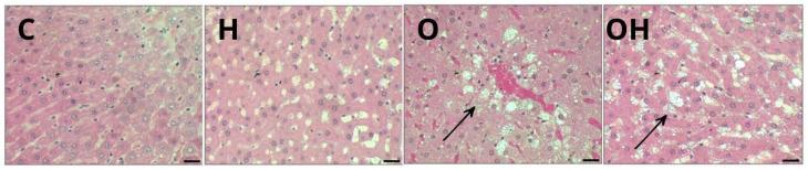 https://cdn.ncbi.nlm.nih.gov/pmc/blobs/93a2/11505265/d755a1f25cd4/biology-13-00771-g005.jpg