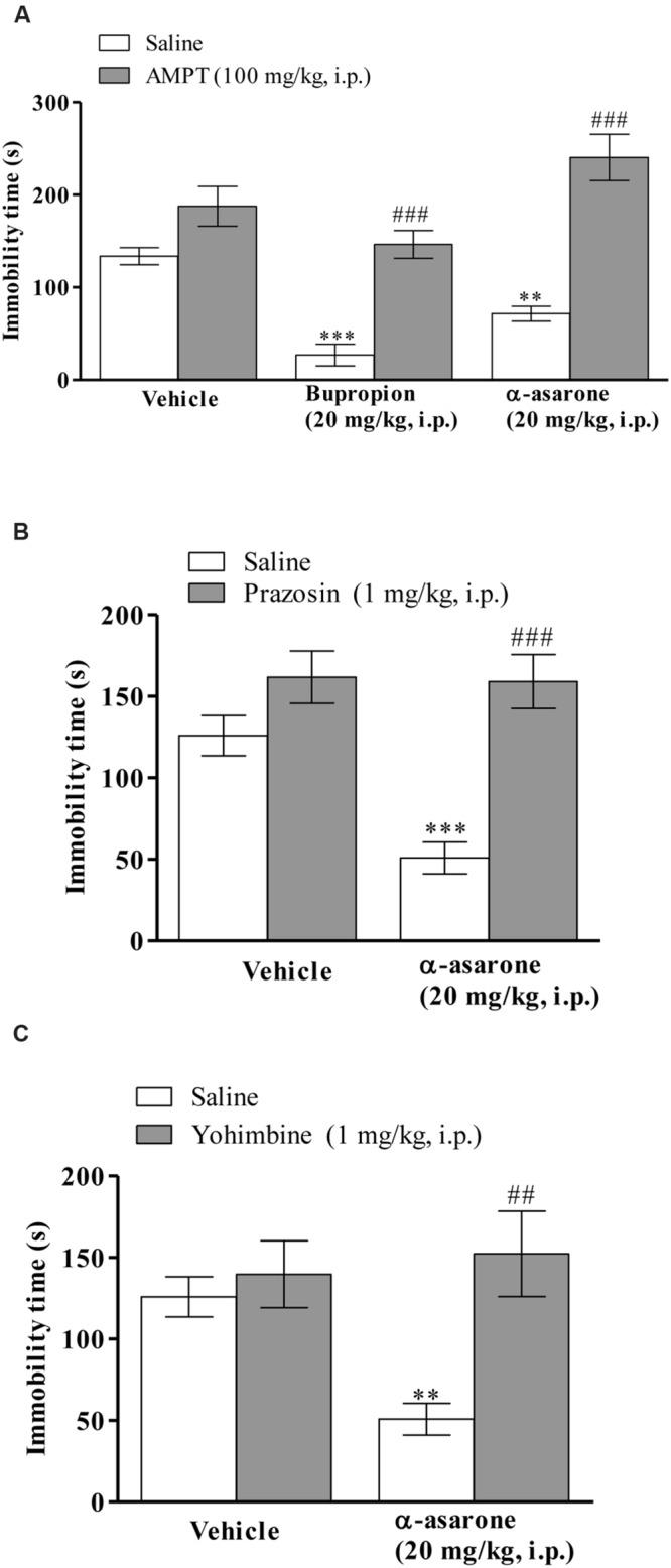 https://cdn.ncbi.nlm.nih.gov/pmc/blobs/93a6/4811860/dfbb9a79bae9/fphar-07-00072-g004.jpg