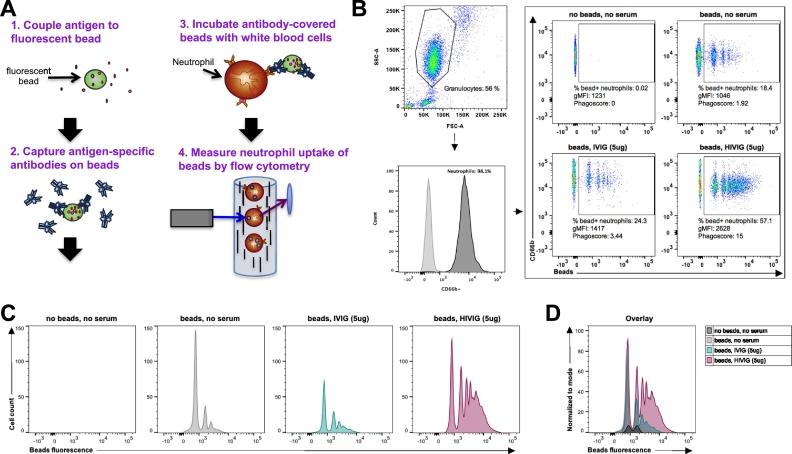 https://cdn.ncbi.nlm.nih.gov/pmc/blobs/93a6/6620195/0ab2952f0b99/gr1.jpg