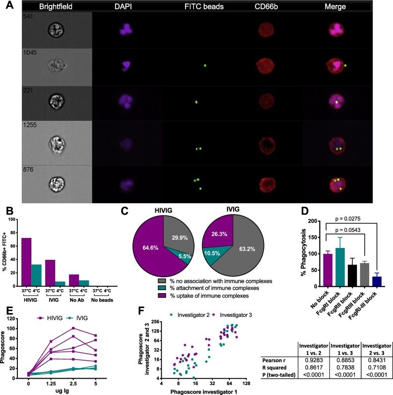 https://cdn.ncbi.nlm.nih.gov/pmc/blobs/93a6/6620195/6f7d9c961cfc/gr5.jpg
