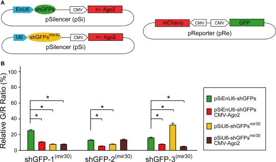 https://cdn.ncbi.nlm.nih.gov/pmc/blobs/93a7/2858607/bc7e08591242/fnins-03-063-g003.jpg