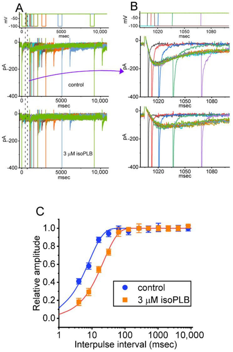 https://cdn.ncbi.nlm.nih.gov/pmc/blobs/93a9/9029050/7507957d3f1f/biomedicines-10-00780-g004.jpg