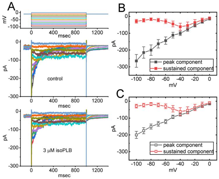 https://cdn.ncbi.nlm.nih.gov/pmc/blobs/93a9/9029050/825fb416a061/biomedicines-10-00780-g002.jpg