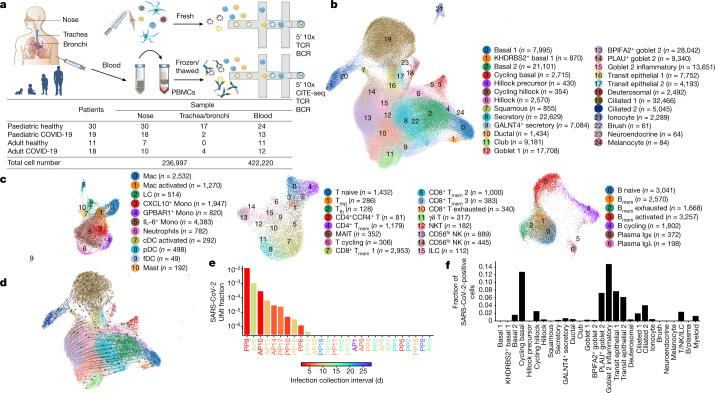 https://cdn.ncbi.nlm.nih.gov/pmc/blobs/93aa/8828466/db5cc3c4e699/41586_2021_4345_Fig1_HTML.jpg