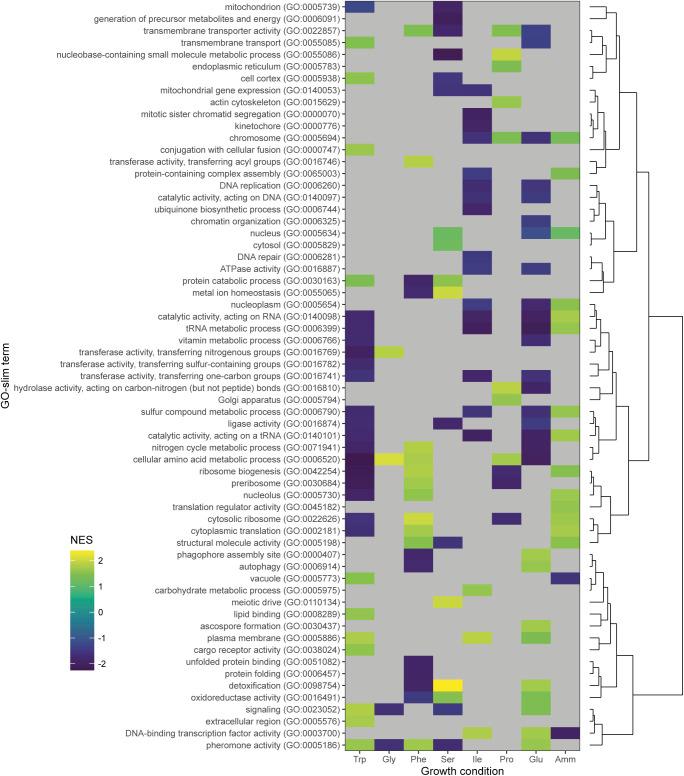 https://cdn.ncbi.nlm.nih.gov/pmc/blobs/93ac/8886410/8bca9f2fc1c1/LSA-2021-01223_FigS29.jpg