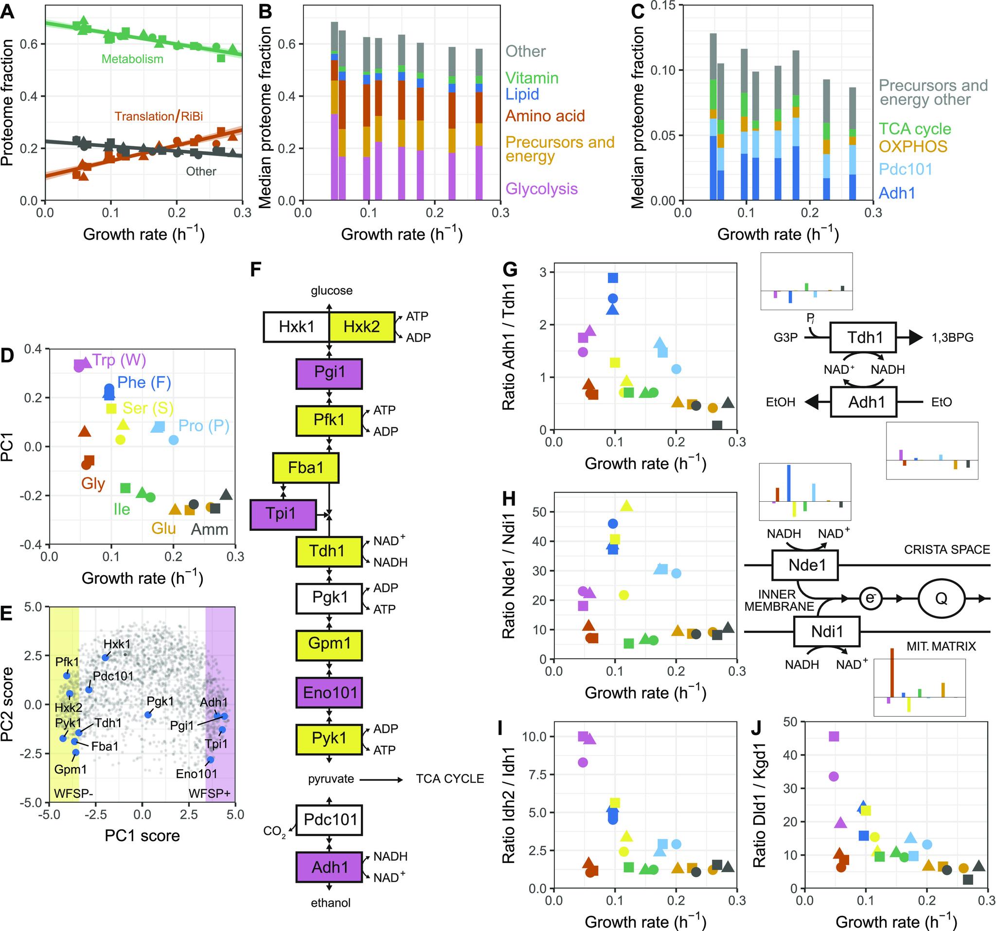 https://cdn.ncbi.nlm.nih.gov/pmc/blobs/93ac/8886410/9c361c88a28a/LSA-2021-01223_Fig6.jpg
