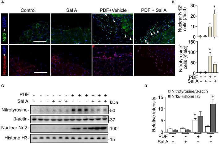 https://cdn.ncbi.nlm.nih.gov/pmc/blobs/93ac/8936188/0ac5d3f4428e/fmed-09-804899-g0003.jpg
