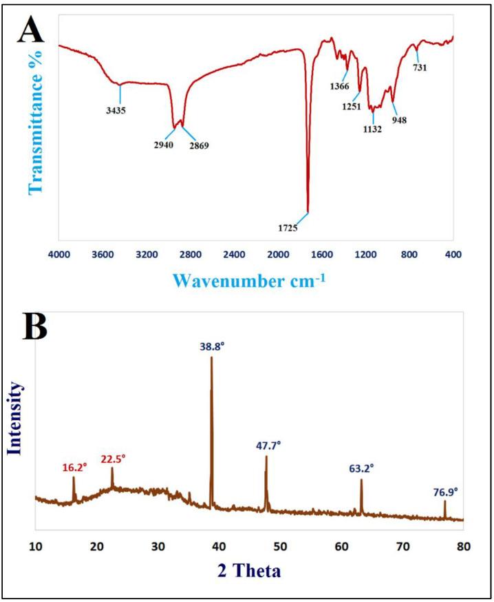 https://cdn.ncbi.nlm.nih.gov/pmc/blobs/93ad/9225580/3f16009b75d0/jof-08-00612-g001.jpg