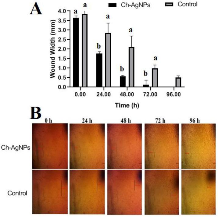 https://cdn.ncbi.nlm.nih.gov/pmc/blobs/93ad/9225580/b2b194bff209/jof-08-00612-g009.jpg