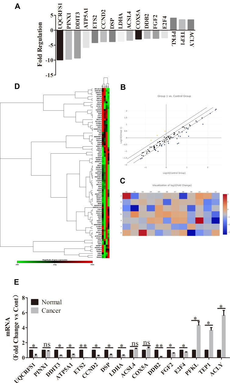 https://cdn.ncbi.nlm.nih.gov/pmc/blobs/93ae/7532047/d500f06420d5/CMAR-12-9235-g0001.jpg