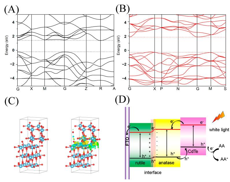 https://cdn.ncbi.nlm.nih.gov/pmc/blobs/93b2/10377446/5f295baa065b/biosensors-13-00714-g005.jpg