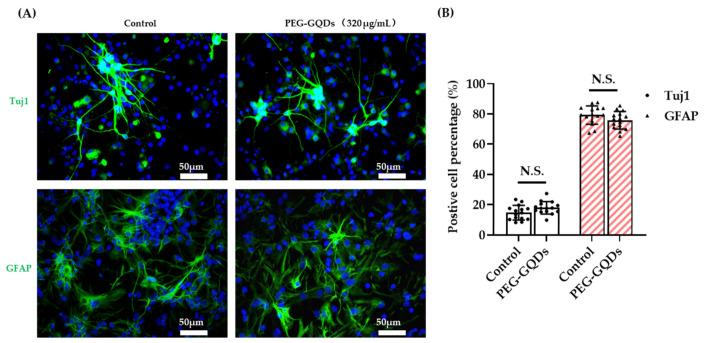 https://cdn.ncbi.nlm.nih.gov/pmc/blobs/93b2/8226482/986064f71af9/nanomaterials-11-01446-g005.jpg