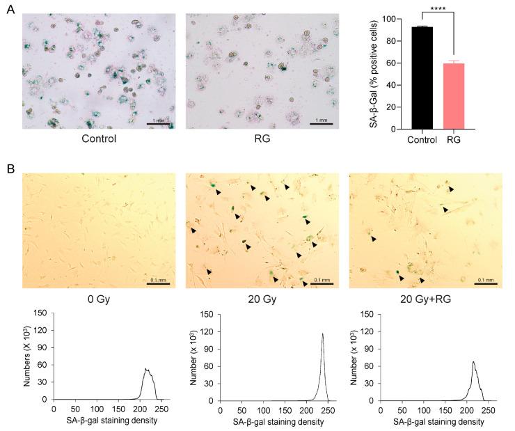 https://cdn.ncbi.nlm.nih.gov/pmc/blobs/93b4/10813250/1886046ca166/biology-13-00036-g005.jpg