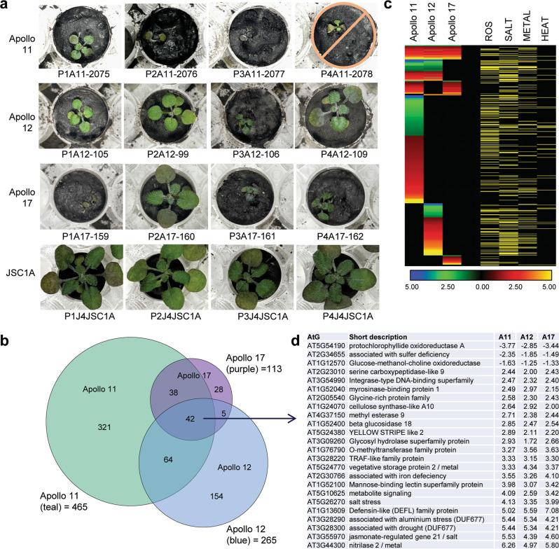 https://cdn.ncbi.nlm.nih.gov/pmc/blobs/93b4/9098553/6bc5b73f479e/42003_2022_3334_Fig3_HTML.jpg