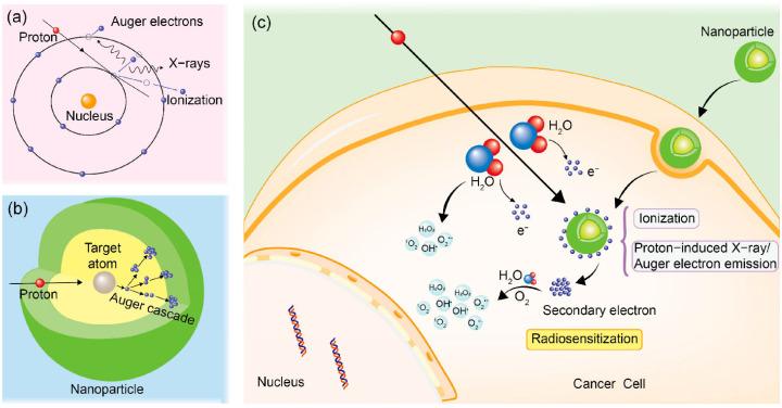 https://cdn.ncbi.nlm.nih.gov/pmc/blobs/93b5/11859620/3056792032d7/pharmaceutics-17-00176-g004.jpg