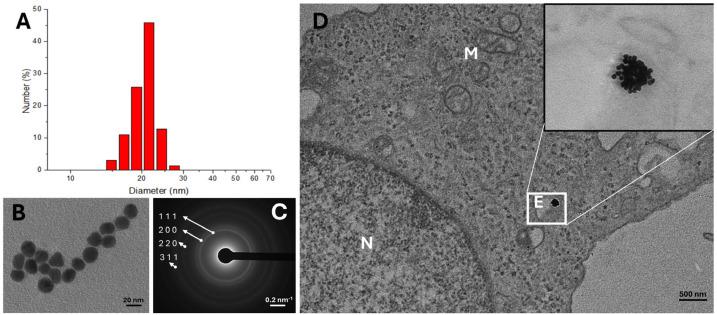 https://cdn.ncbi.nlm.nih.gov/pmc/blobs/93b5/11859620/655850948fa6/pharmaceutics-17-00176-g006.jpg