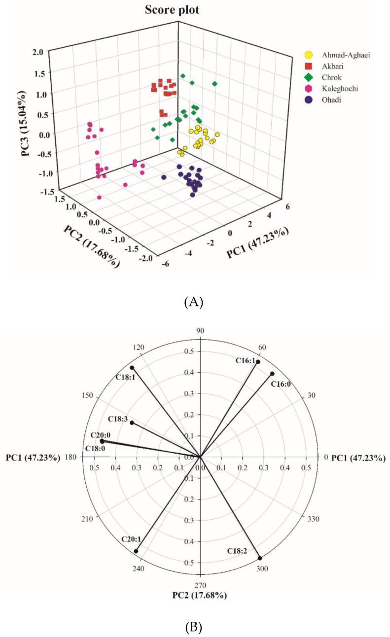https://cdn.ncbi.nlm.nih.gov/pmc/blobs/93b5/6337528/cfcb9fac6ebe/molecules-24-00058-g002.jpg