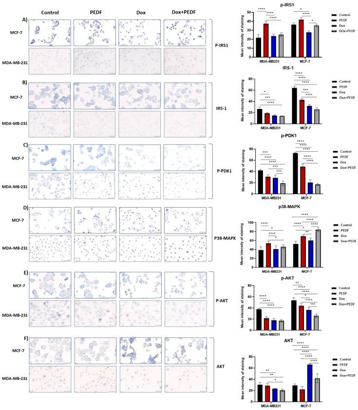 https://cdn.ncbi.nlm.nih.gov/pmc/blobs/93b6/10932225/3fc6e8d5d9e4/ijms-25-02755-g004.jpg