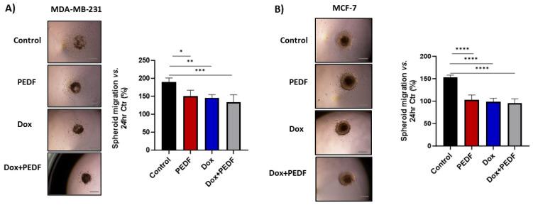 https://cdn.ncbi.nlm.nih.gov/pmc/blobs/93b6/10932225/a379762a2a7f/ijms-25-02755-g002.jpg