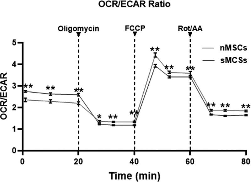 https://cdn.ncbi.nlm.nih.gov/pmc/blobs/93b7/9477859/966737028ac9/nr-33-635-g001.jpg