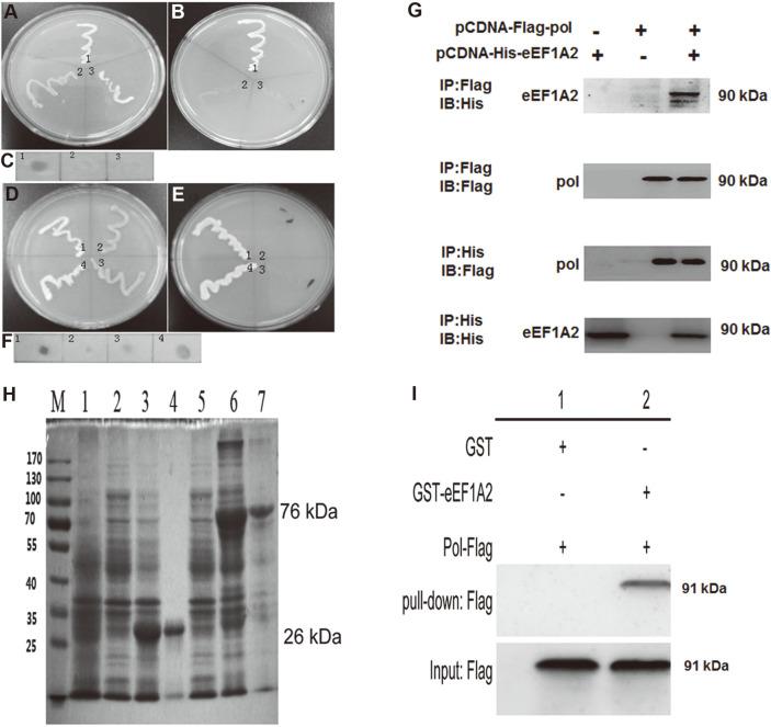 https://cdn.ncbi.nlm.nih.gov/pmc/blobs/93b9/9705884/06e82c76d945/jmb-31-1-16-f3.jpg