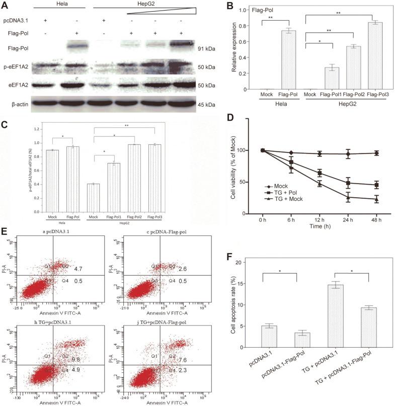 https://cdn.ncbi.nlm.nih.gov/pmc/blobs/93b9/9705884/4552ddd9369a/jmb-31-1-16-f1.jpg