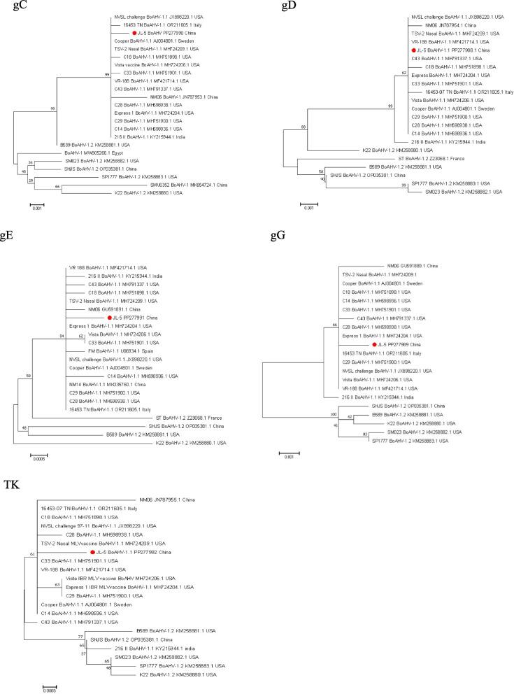 https://cdn.ncbi.nlm.nih.gov/pmc/blobs/93ba/11075196/4a90c587df5d/12917_2024_4025_Fig4_HTML.jpg