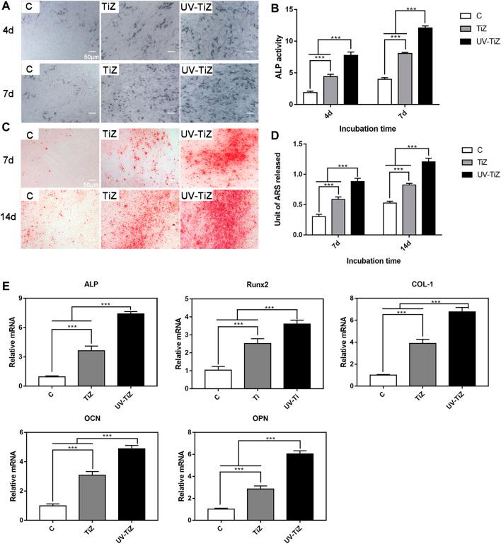 https://cdn.ncbi.nlm.nih.gov/pmc/blobs/93ba/9393212/1735be24f93f/fbioe-10-945869-g005.jpg