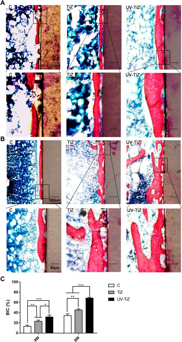 https://cdn.ncbi.nlm.nih.gov/pmc/blobs/93ba/9393212/aae8715c0a4d/fbioe-10-945869-g007.jpg