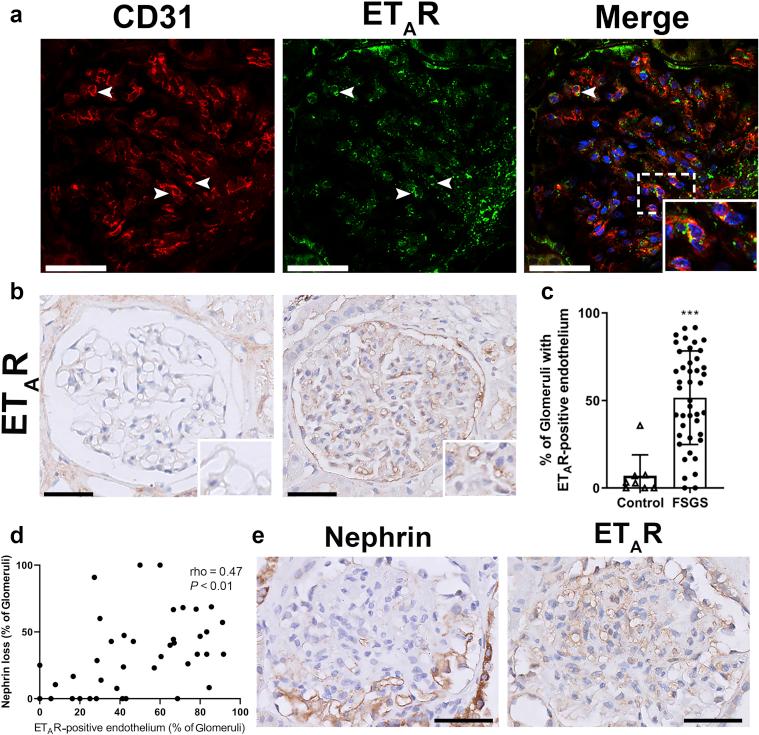 https://cdn.ncbi.nlm.nih.gov/pmc/blobs/93bc/8258598/a0d3357c73f0/gr1.jpg