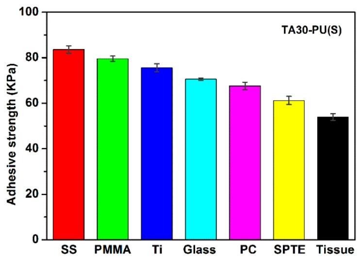 https://cdn.ncbi.nlm.nih.gov/pmc/blobs/93bd/7023601/8e15227faeb0/polymers-12-00239-g010.jpg