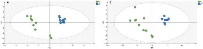 https://cdn.ncbi.nlm.nih.gov/pmc/blobs/93bf/9231117/568923b56285/metabolites-12-00556-g001.jpg