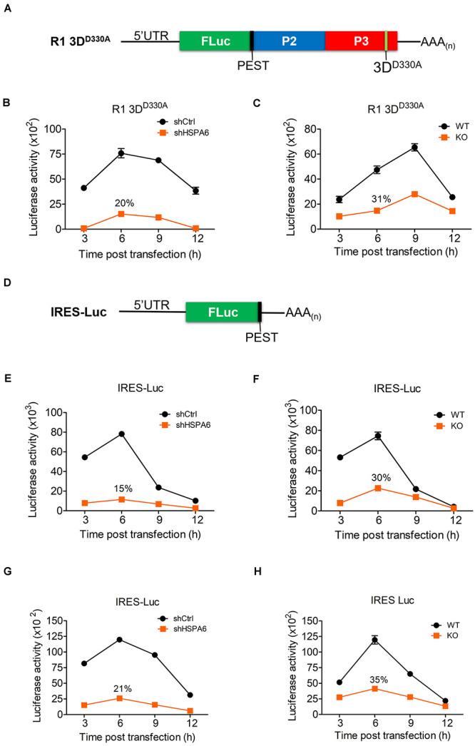 https://cdn.ncbi.nlm.nih.gov/pmc/blobs/93c2/8137988/6aaef885b830/fmicb-12-664955-g004.jpg