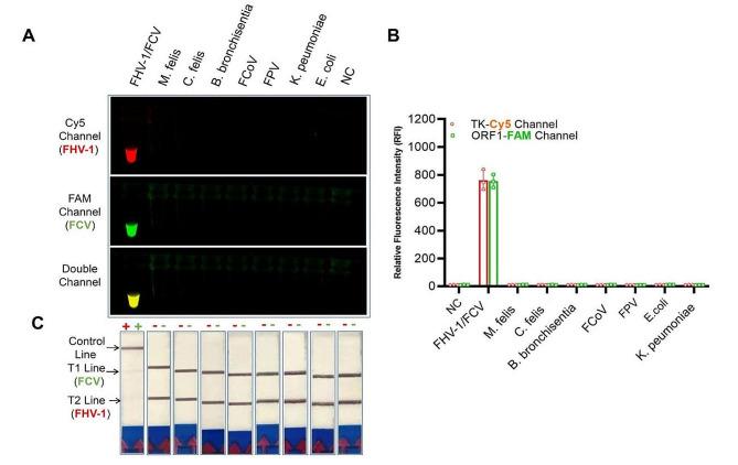 https://cdn.ncbi.nlm.nih.gov/pmc/blobs/93c3/10943893/bc3c0e74cb61/12917_2024_3953_Fig2_HTML.jpg