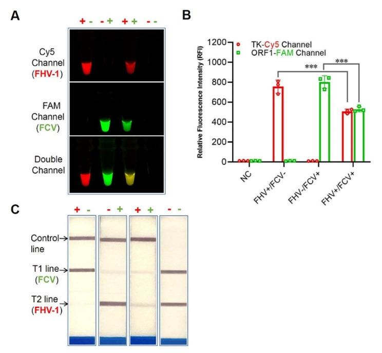 https://cdn.ncbi.nlm.nih.gov/pmc/blobs/93c3/10943893/c05e8308c9f8/12917_2024_3953_Fig1_HTML.jpg