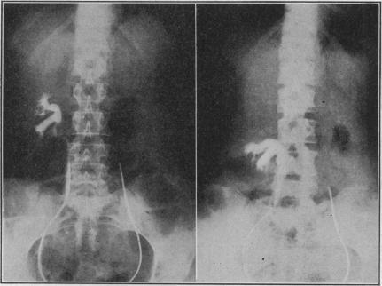 https://cdn.ncbi.nlm.nih.gov/pmc/blobs/93c5/1657970/d380e2b1b6e5/calwestmed00451-0060-a.jpg