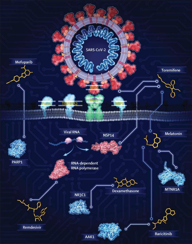 https://cdn.ncbi.nlm.nih.gov/pmc/blobs/93c5/7500917/d35959bffe11/gr1.jpg