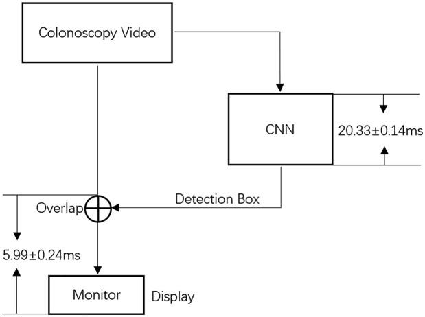 https://cdn.ncbi.nlm.nih.gov/pmc/blobs/93c5/7745558/69d2a1889e44/10.1177_1756284820979165-fig1.jpg