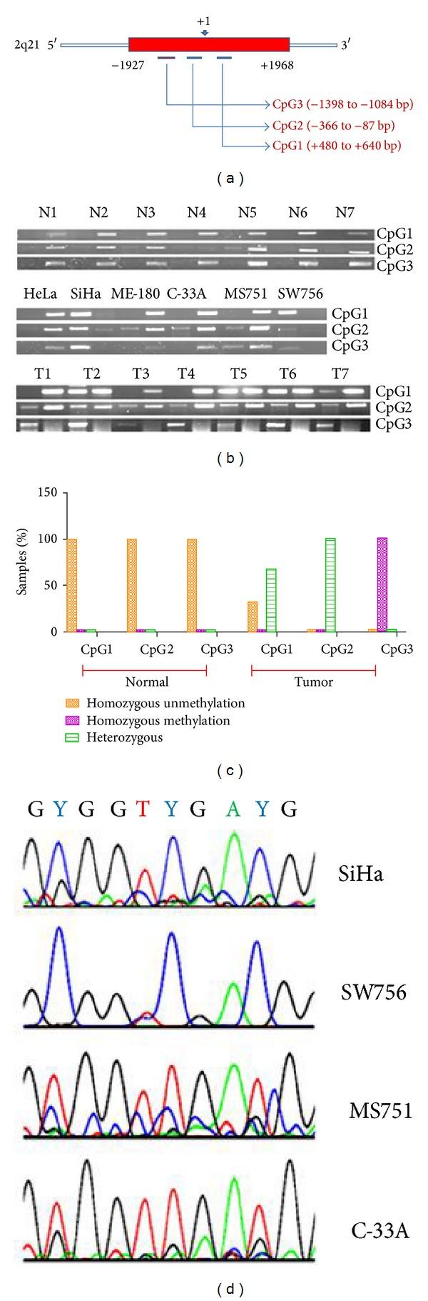 https://cdn.ncbi.nlm.nih.gov/pmc/blobs/93c7/4119908/659b9512dd83/BMRI2014-581403.002.jpg