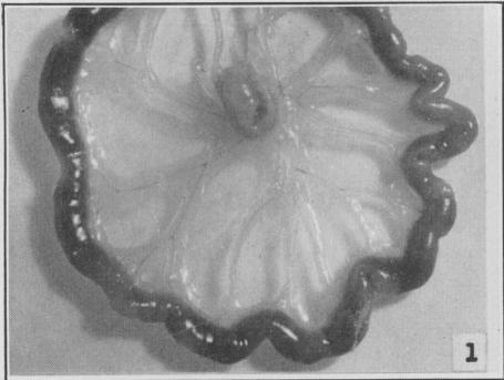 https://cdn.ncbi.nlm.nih.gov/pmc/blobs/93c8/1827920/6f2f6d7b14d2/canmedaj01707-0093-a.jpg