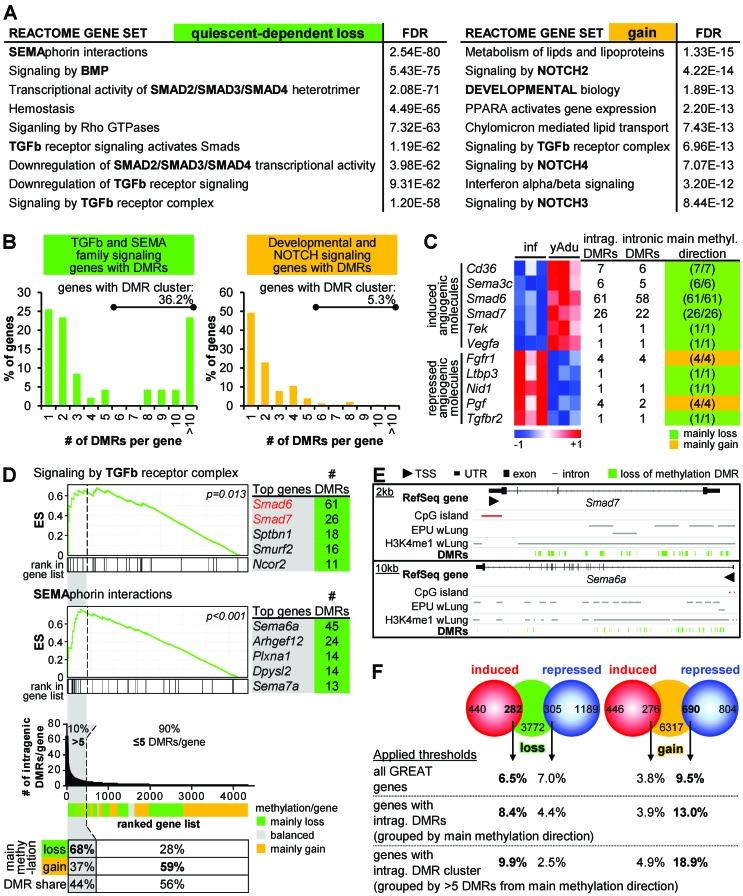 https://cdn.ncbi.nlm.nih.gov/pmc/blobs/93c8/5947988/354c004b9926/elife-34423-fig4.jpg