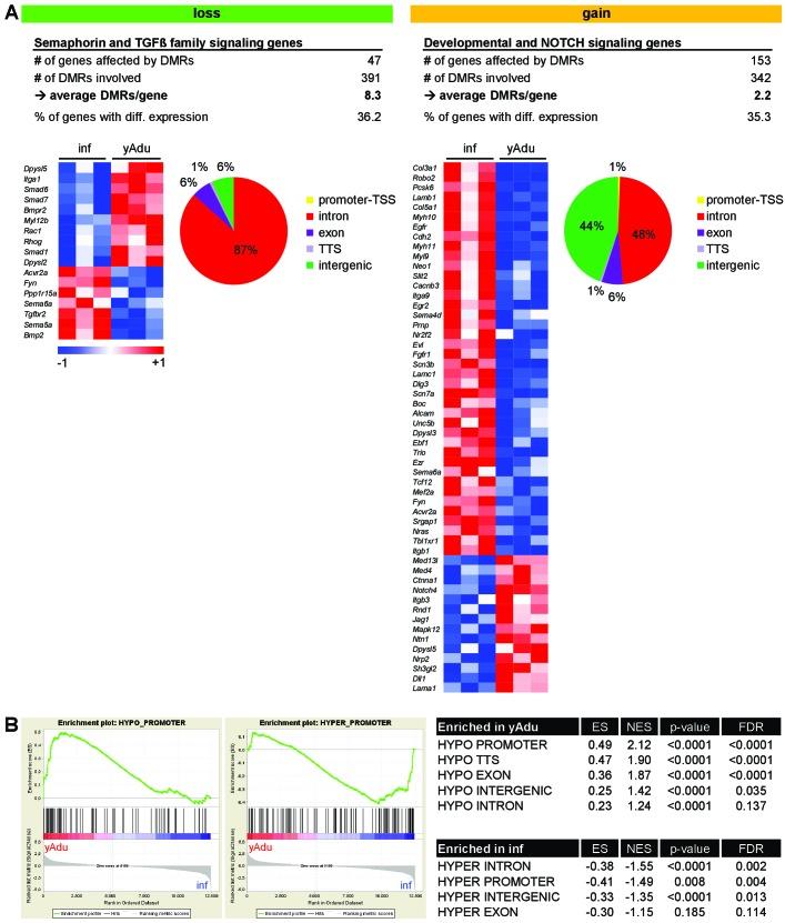 https://cdn.ncbi.nlm.nih.gov/pmc/blobs/93c8/5947988/4a754e815024/elife-34423-fig4-figsupp1.jpg