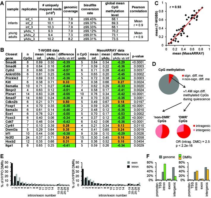 https://cdn.ncbi.nlm.nih.gov/pmc/blobs/93c8/5947988/569daadc9023/elife-34423-fig3-figsupp1.jpg
