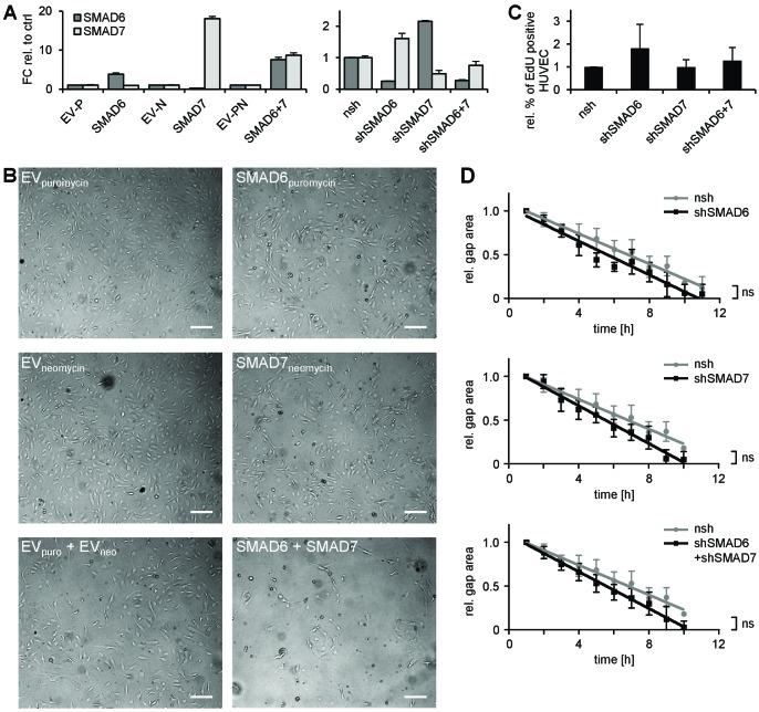 https://cdn.ncbi.nlm.nih.gov/pmc/blobs/93c8/5947988/7e52810b1b13/elife-34423-fig5-figsupp2.jpg