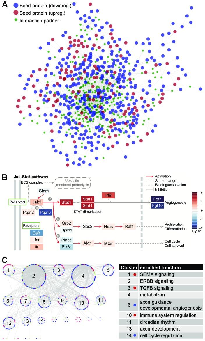https://cdn.ncbi.nlm.nih.gov/pmc/blobs/93c8/5947988/e18a68cff381/elife-34423-fig1-figsupp2.jpg