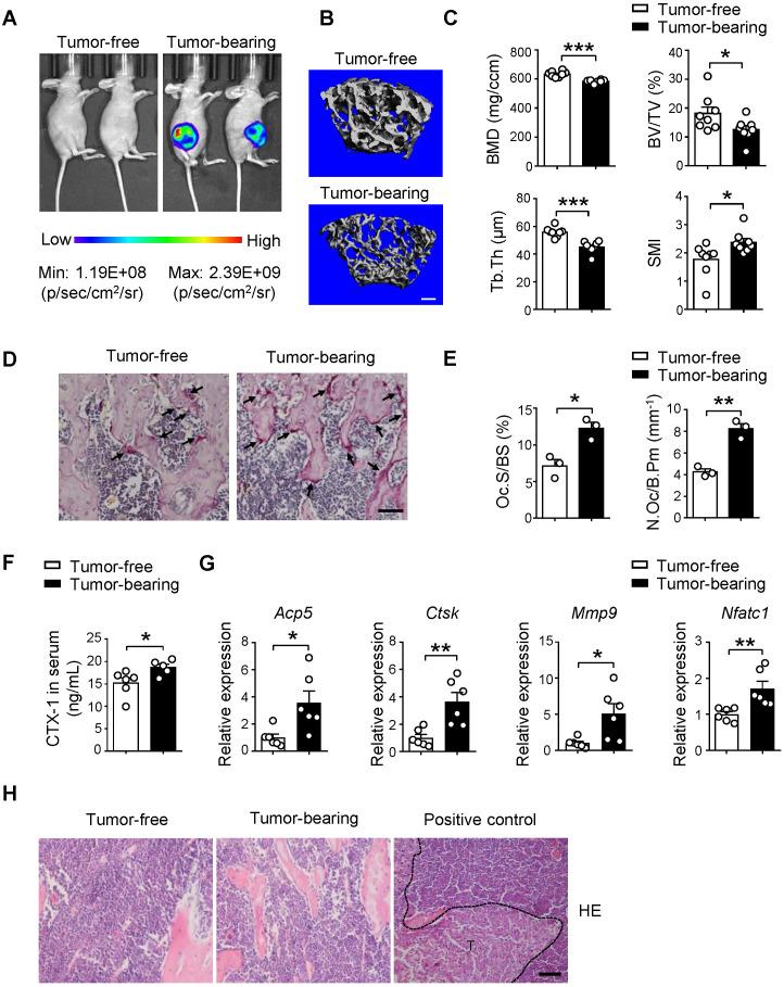 https://cdn.ncbi.nlm.nih.gov/pmc/blobs/93c9/7738874/4517f953f20e/thnov11p1429g001.jpg