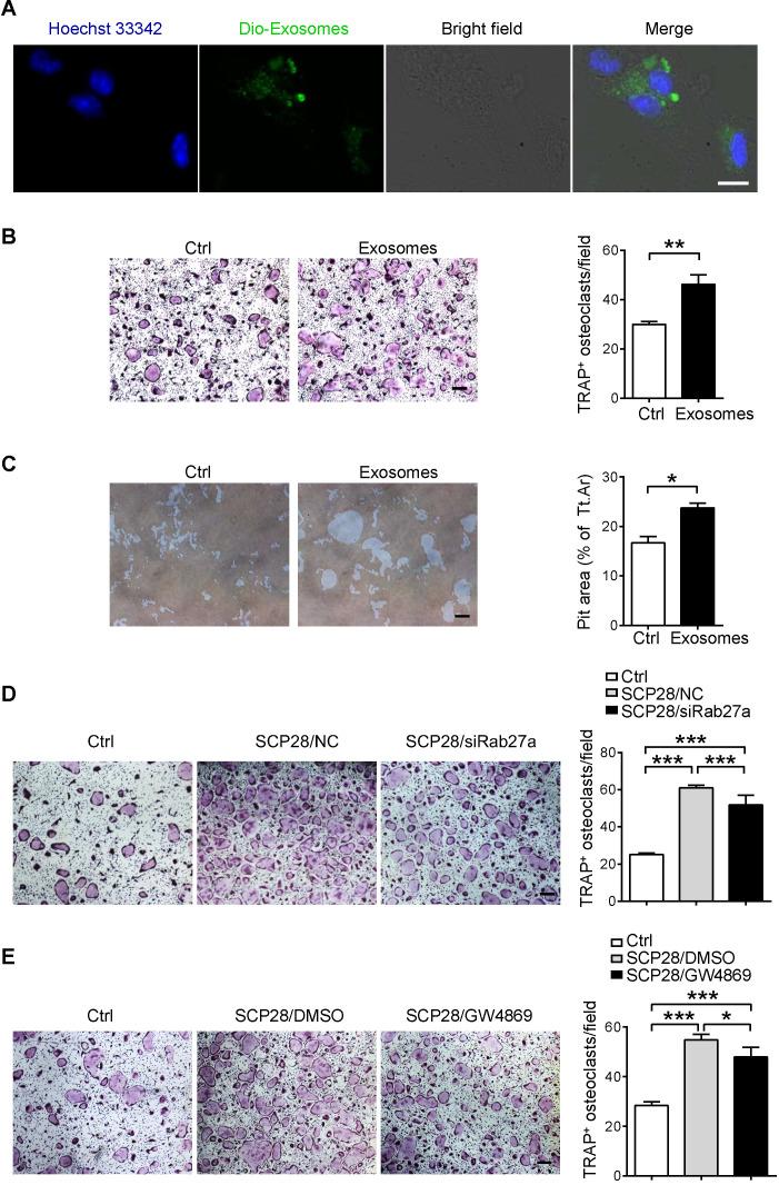 https://cdn.ncbi.nlm.nih.gov/pmc/blobs/93c9/7738874/ab2b6cbabbf8/thnov11p1429g003.jpg
