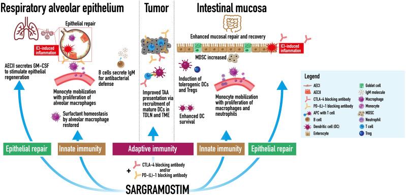 https://cdn.ncbi.nlm.nih.gov/pmc/blobs/93c9/9850113/a2d8f21eb7f3/fimmu-13-1069444-g003.jpg