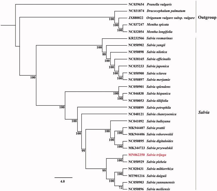 https://cdn.ncbi.nlm.nih.gov/pmc/blobs/93ca/8530471/f01b92004480/TMDN_A_1991243_F0001_C.jpg